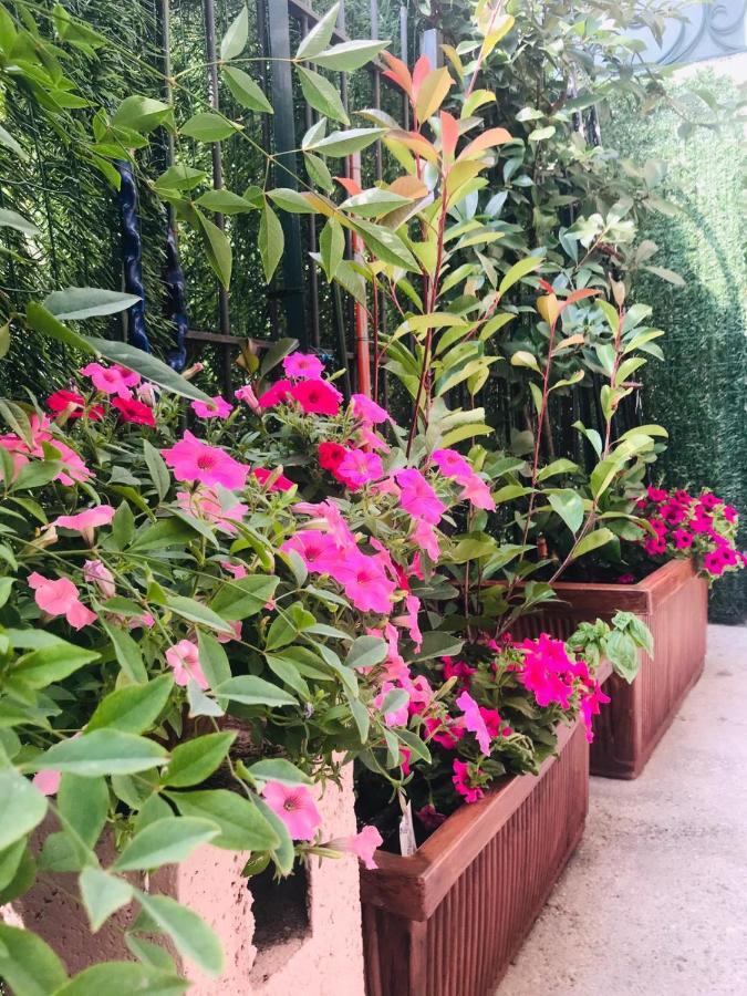 Apartment Oasi Di Paradiso - Comfy Private On Ground Floor With Terrace